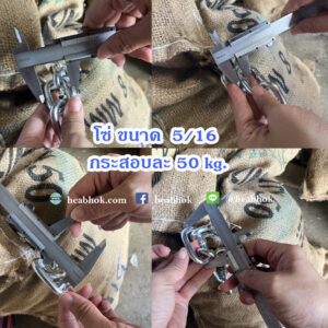 โซ่เหล็ก