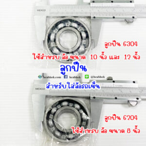 ลูกปืน