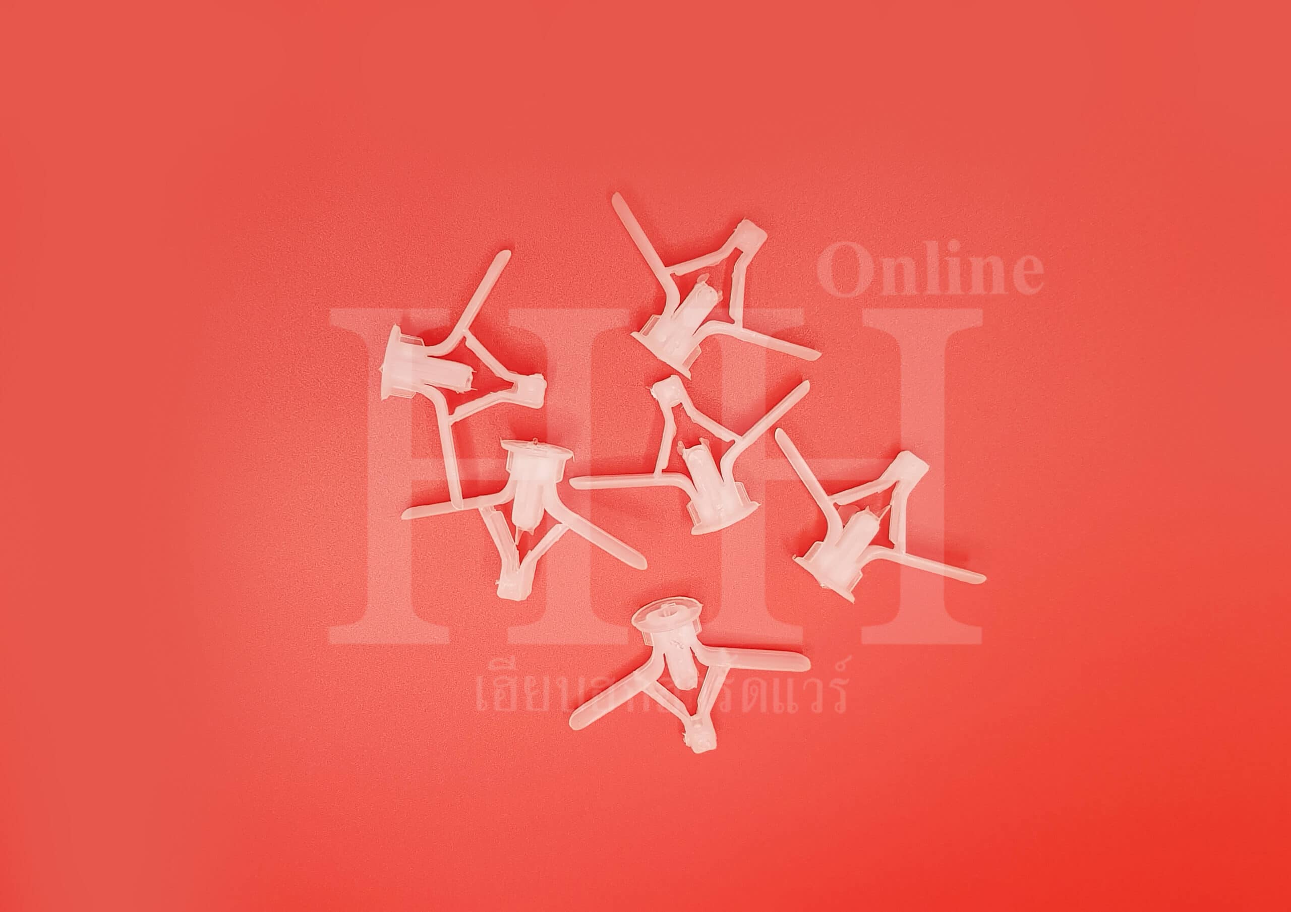 พุกยิปซั่ม