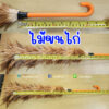 ไม้ปัดขนไก่ ไม้ขนไก่