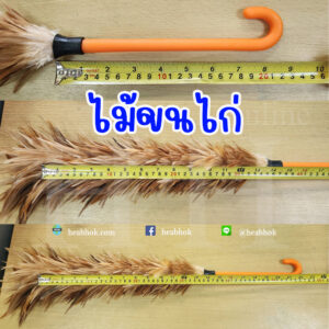ไม้ปัดขนไก่ ไม้ขนไก่